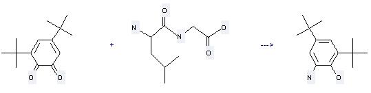 2-Amino-4,6-di-tert-butyl-phenol and N-(4-Methyl-2-oxo-valeryl)-glycine can be obtained by 3,5-di-tert-butyl-[1,2]benzoquinone and Glycine, leucyl- (9CI).